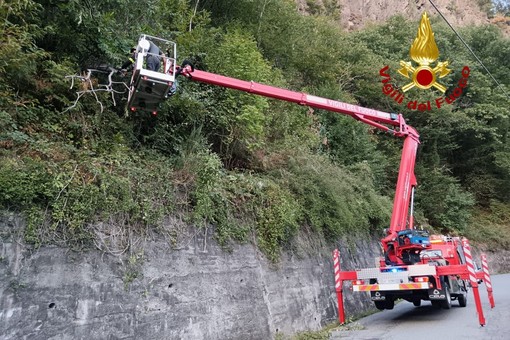 Varallo: Pianta sulla carreggiata lungo la strada per Morondo, intervengono i Vigili del Fuoco Varallo: Pianta sulla carreggiata lungo la strada per Morondo, intervengono i Vigili del Fuoco
