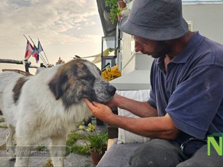 La storia di Giorgio, il pastore romeno che ama i suoi animali foto Mauro Benedetti per newsbiella.it