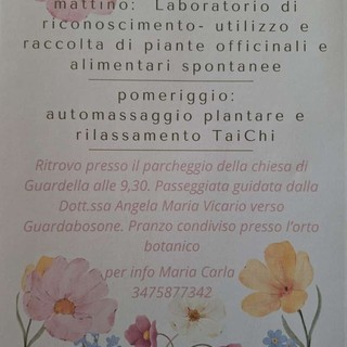 A Guardabosone una giornata tra piante spontanee, benessere e Tai Chi