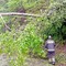 Piante sulla strada a Curino e Sostegno, arrivano i Vigili del Fuoco (foto di repertorio) Piante sulla strada a Curino e Sostegno, arrivano i Vigili del Fuoco (foto di repertorio)
