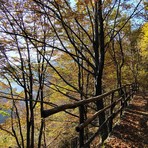 Sentieri tra Campello Monti, Rimella e il Vallone di Roj: finanziato il progetto di ripristino nella Valsesia Sentieri tra Campello Monti, Rimella e il Vallone di Roj: finanziato il progetto di ripristino nella Valsesia