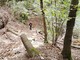 Monte Fenera, ripristinato il sentiero 779 tra Bertasacco e Ara Monte Fenera, ripristinato il sentiero 779 tra Bertasacco e Ara