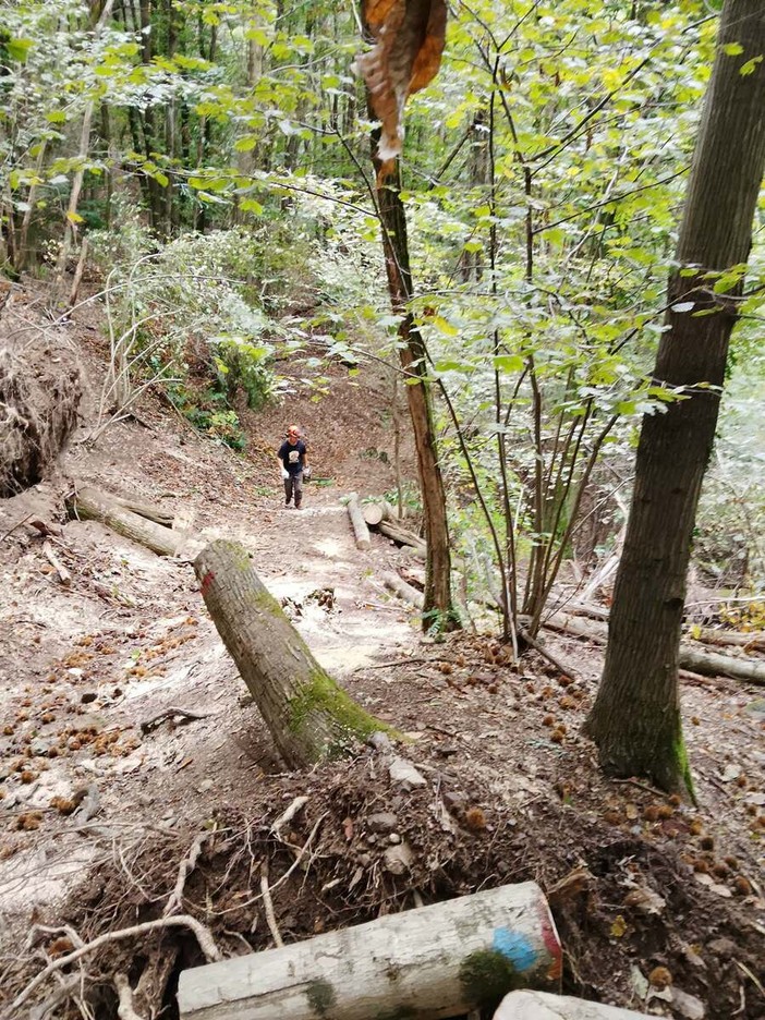 Monte Fenera, ripristinato il sentiero 779 tra Bertasacco e Ara Monte Fenera, ripristinato il sentiero 779 tra Bertasacco e Ara