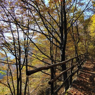 Sentieri tra Campello Monti, Rimella e il Vallone di Roj: finanziato il progetto di ripristino nella Valsesia