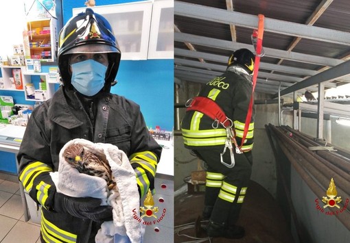 I Vigili del Fuoco durante e dopo il soccorso I Vigili del Fuoco durante e dopo il soccorso