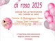 Romagnano Sesia, una serata dedicata alla prevenzione del tumore al seno con “La regione si colora di rosa” Romagnano Sesia, una serata dedicata alla prevenzione del tumore al seno con “La regione si colora di rosa”