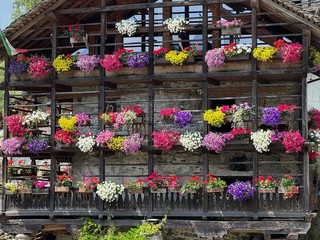 Rassa festeggia l’ingresso ufficiale tra i Borghi più Belli d’Italia: coronato l'obiettivo valsesiano - Servizio di Davide Finatti per valsesianotizie.it