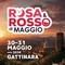 Gattinara, Rosa e Rosso di Maggio anima il centro storico