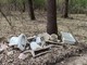 A Gattinara nuovi rifiuti abbandonati nel bosco: il Comitato richiama al rispetto del territorio