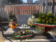 Anniversario della tragedia di Brandizzo, RFI ricorda le vittime e rinnova il proprio cordoglio Anniversario della tragedia di Brandizzo, RFI ricorda le vittime e rinnova il proprio cordoglio