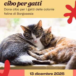 Un Cuore Caldo per i Mici di Borgosesia: Grande Raccolta Cibo al Conad Un Cuore Caldo per i Mici di Borgosesia: Grande Raccolta Cibo al Conad