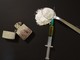 31 agosto, giornata internazionale di sensibilizzazione sull'overdose 31 agosto, giornata internazionale di sensibilizzazione sull'overdose
