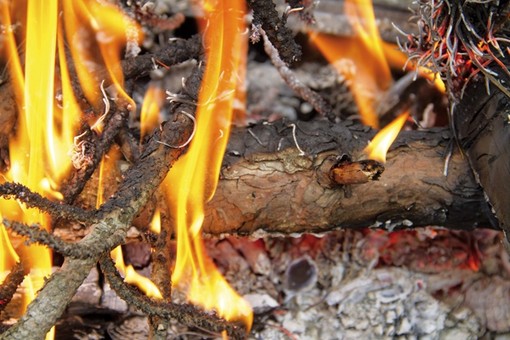 Incendi e abbruciamenti vietati in Piemonte: cosa rischi se non rispetti la legge Incendi e abbruciamenti vietati in Piemonte: cosa rischi se non rispetti la legge