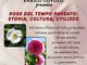 Varallo, le rose antiche protagoniste nel Portico d’Onore di Palazzo Racchetti Varallo, le rose antiche protagoniste nel Portico d’Onore di Palazzo Racchetti