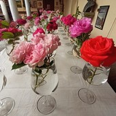 Varallo, rose antiche protagoniste a Palazzo Racchetti con Enrico Covolo