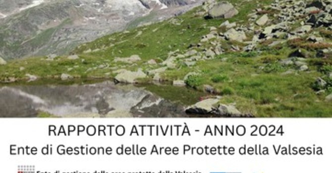 Aree Protette della Valsesia, presentato il Rapporto Annuale 2024: turismo, biodiversità e innovazione al centro delle attività