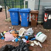 Rifiuti abbandonati al Centro Sportivo Milanaccio: lo sfogo dello staff - foto da fb Staff Milanaccio