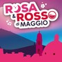Gattinara apre le iscrizioni ai mercatini di Rosa & Rosso di Maggio 2026 Gattinara apre le iscrizioni ai mercatini di Rosa & Rosso di Maggio 2026