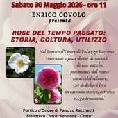 Varallo, le rose antiche protagoniste nel Portico d’Onore di Palazzo Racchetti