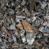 Spariscono le lampadine, aumentano i pannelli fotovoltaici: la società che cambia si riflette anche nella raccolta rifiuti