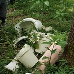 Sanitari abbandonati nei boschi di Gattinara, intervengono i volontari di Salvambiente Sanitari abbandonati nei boschi di Gattinara, intervengono i volontari di Salvambiente