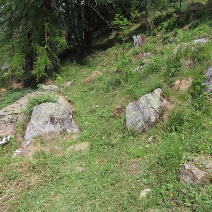Parchi Valsesia, prosegue la manutenzione della rete escursionistica: interventi sui sentieri di Alagna - Foto di Parchi Valsesia