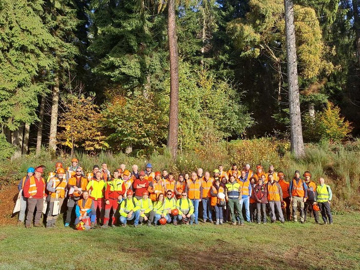 Settimana europea per la sicurezza sul lavoro: Piemonte in prima linea nella prevenzione degli incidenti forestali Settimana europea per la sicurezza sul lavoro: Piemonte in prima linea nella prevenzione degli incidenti forestali