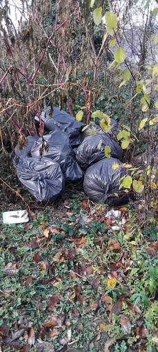 Valmaggiore, scarico illegale di rifiuti nel bosco: individuato il responsabile grazie alla segnalazione di un cittadino