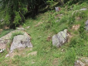 Parchi Valsesia, prosegue la manutenzione della rete escursionistica: interventi sui sentieri di Alagna - Foto di Parchi Valsesia Parchi Valsesia, prosegue la manutenzione della rete escursionistica: interventi sui sentieri di Alagna - Foto di Parchi Valsesia