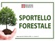 Valsesia, martedì 13 gennaio chiuso lo Sportello Forestale dell’Unione Montana