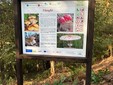 Aree Protette della Valsesia, oltre un milione di euro per sentieri e piste forestali tra Fenera e Alta Valle