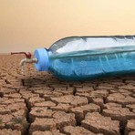 Siccità e rischio incendi, l’appello alla popolazione: «Usare l’acqua solo per vere necessità» Siccità e rischio incendi, l’appello alla popolazione: «Usare l’acqua solo per vere necessità»