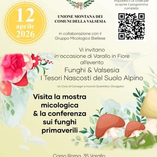 Varallo in Fiore, il 12 aprile spazio a mostra micologica e conferenza sui funghi primaverili
