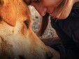Animali, il caldo può ucciderli: la campagna estiva di LNDC Animal Protection
