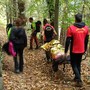 Valdilana, infortunio per una donna al sentiero del Santuario della Brughiera