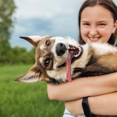 Animali, il caldo può ucciderli: la campagna estiva di LNDC Animal Protection