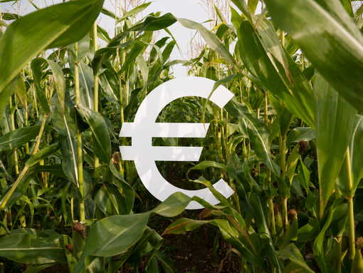 Pagamenti Pac, il Piemonte accelera: erogati 336 milioni agli agricoltori Pagamenti Pac, il Piemonte accelera: erogati 336 milioni agli agricoltori