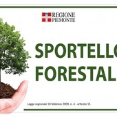 Valsesia, martedì 13 gennaio chiuso lo Sportello Forestale dell’Unione Montana