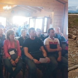 Fiume Sesia, post-alluvione: AIPo e agricoltori discutono gestione sedimenti e danni ai terreni