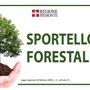 Valsesia, martedì 13 gennaio chiuso lo Sportello Forestale dell’Unione Montana