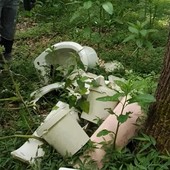 Sanitari abbandonati nei boschi di Gattinara, intervengono i volontari di Salvambiente Sanitari abbandonati nei boschi di Gattinara, intervengono i volontari di Salvambiente