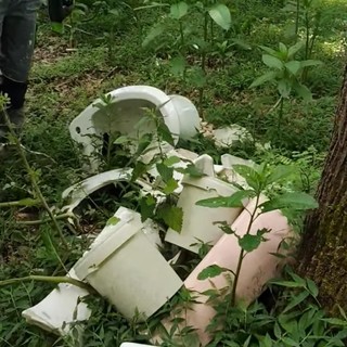 Sanitari abbandonati nei boschi di Gattinara, intervengono i volontari di Salvambiente