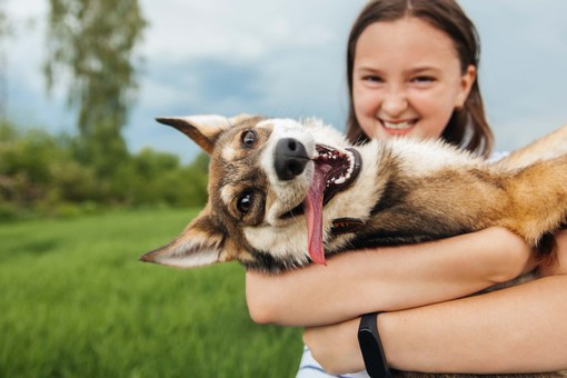 Animali, il caldo può ucciderli: la campagna estiva di LNDC Animal Protection