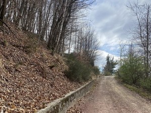 Valduggia, completato l’intervento sulla strada Maretti-Colma: a giugno previsto anche lo sfalcio della vegetazione Valduggia, completato l’intervento sulla strada Maretti-Colma: a giugno previsto anche lo sfalcio della vegetazione