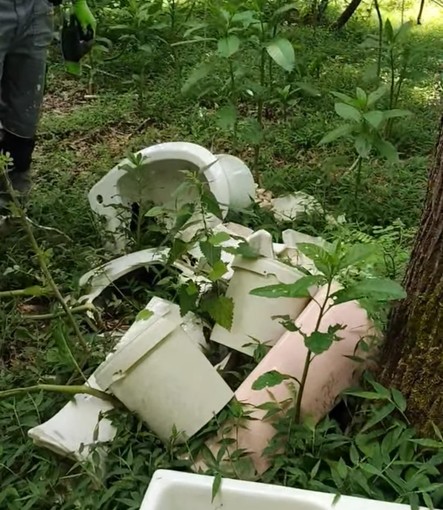 Sanitari abbandonati nei boschi di Gattinara, intervengono i volontari di Salvambiente Sanitari abbandonati nei boschi di Gattinara, intervengono i volontari di Salvambiente
