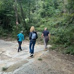 Monte Fenera, 304mila euro per sentieri, pista forestale e area panoramica
