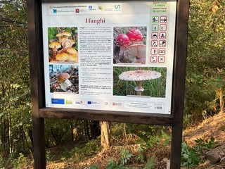 Aree Protette della Valsesia, oltre un milione di euro per sentieri e piste forestali tra Fenera e Alta Valle Aree Protette della Valsesia, oltre un milione di euro per sentieri e piste forestali tra Fenera e Alta Valle