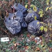 Valmaggiore, scarico illegale di rifiuti nel bosco: individuato il responsabile grazie alla segnalazione di un cittadino Valmaggiore, scarico illegale di rifiuti nel bosco: individuato il responsabile grazie alla segnalazione di un cittadino