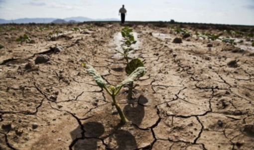 La Regione: «L'agricoltura piemontese non può ridurre del 20% i prelievi irrigui»