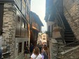 Rassa, grande partecipazione per la 57ª Sagra del Mirtillo Rassa, grande partecipazione per la 57ª Sagra del Mirtillo